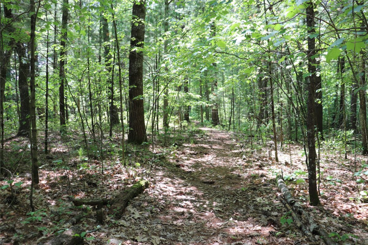 N7280 Waters Edge Road, Black River Falls WI 54615 - Land house for sale - MLS #1601901 - image38