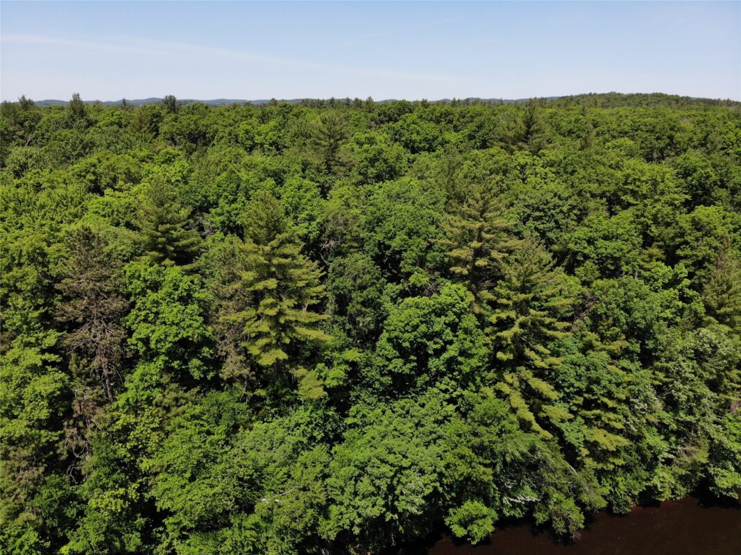 N7280 Waters Edge Road, Black River Falls WI 54615 - Residential house for sale - MLS #1601969 - image5