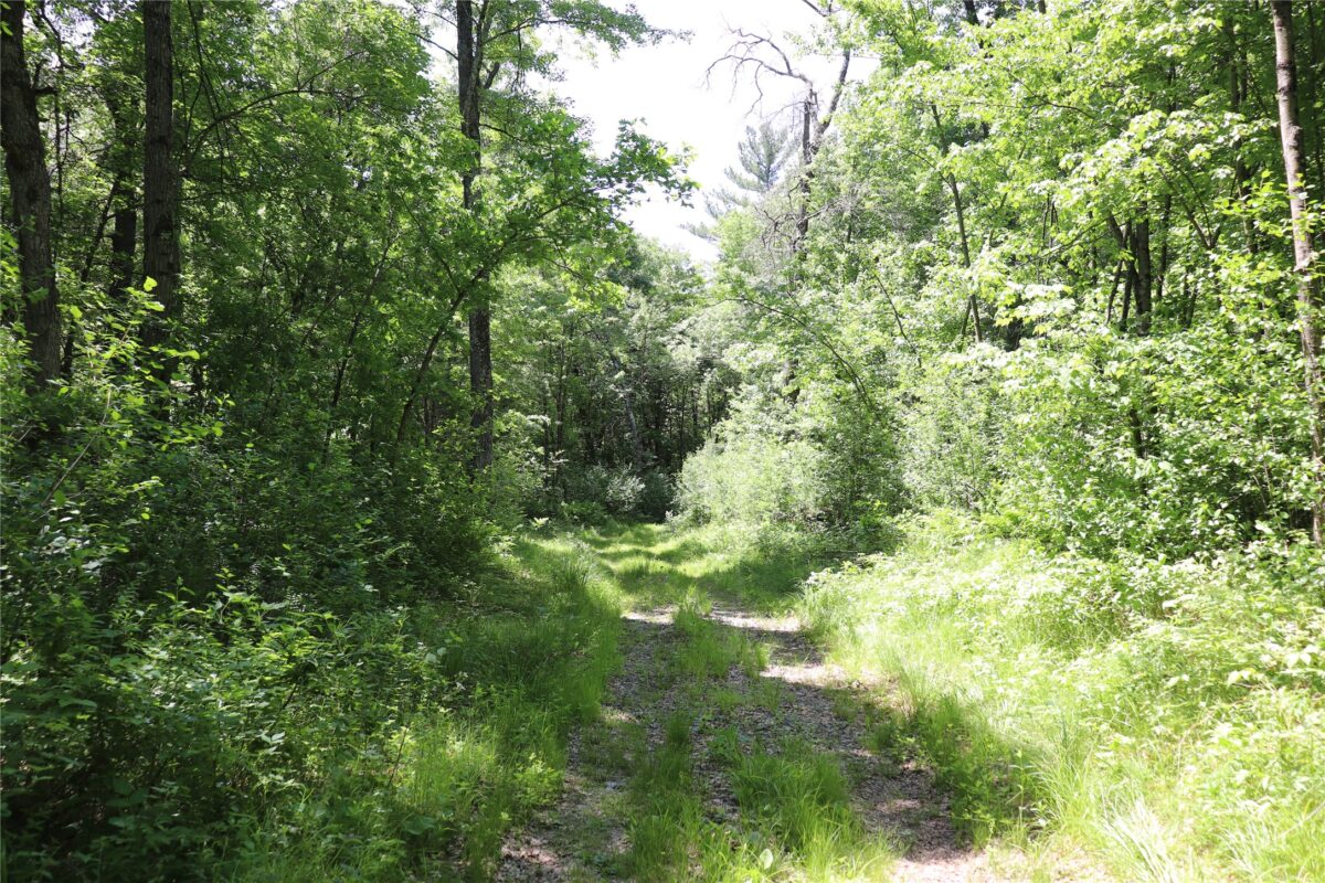 N7280 Waters Edge Road, Black River Falls WI 54615 - Land house for sale - MLS #1601901 - image43