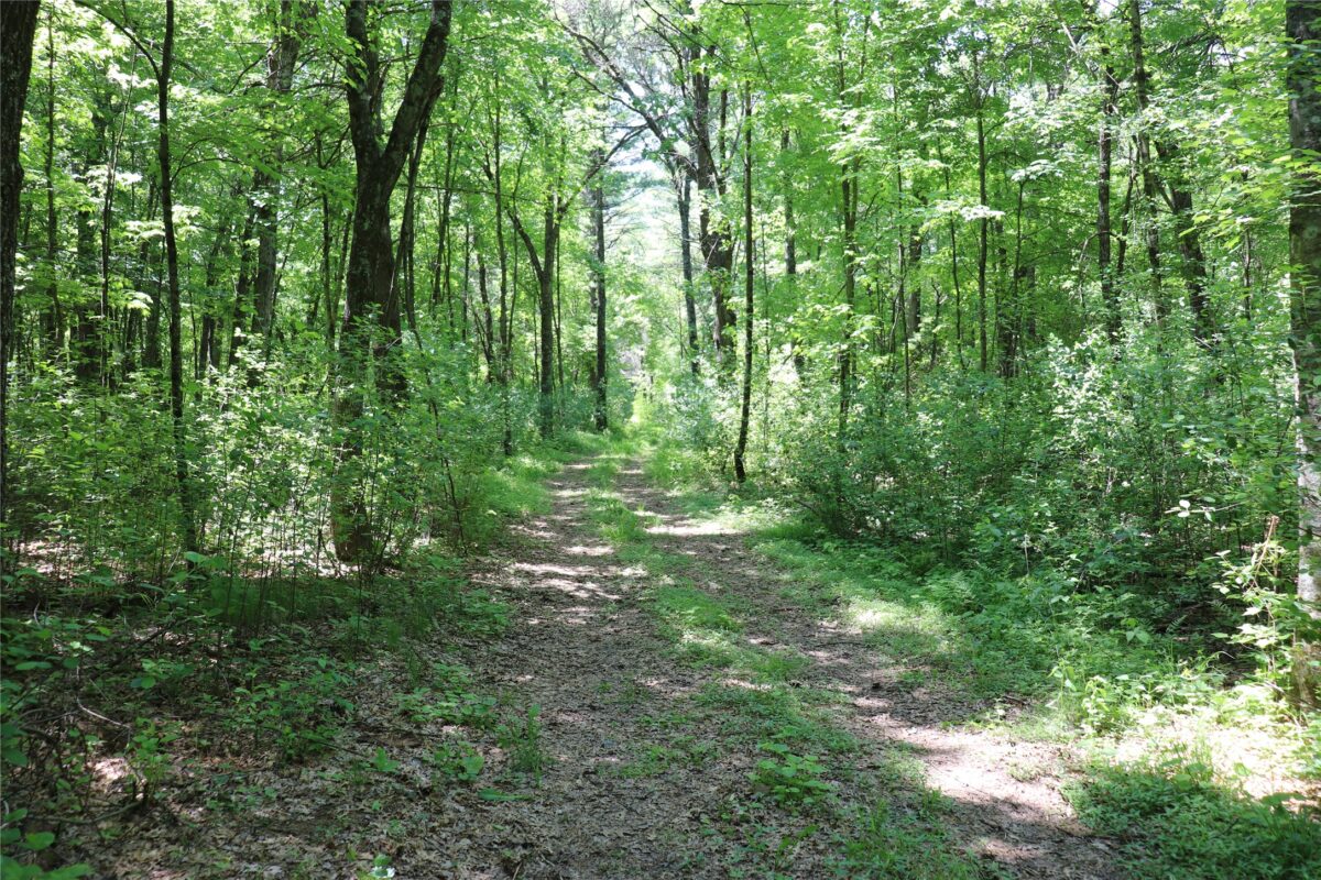 N7280 Waters Edge Road, Black River Falls WI 54615 - Land house for sale - MLS #1601901 - image45