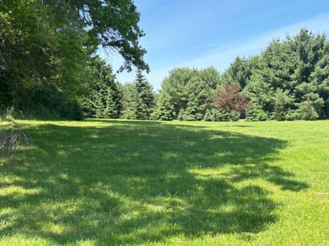 N7606 808th Street, Colfax WI 54730 - Residential house for sale - MLS #1601730 - image3