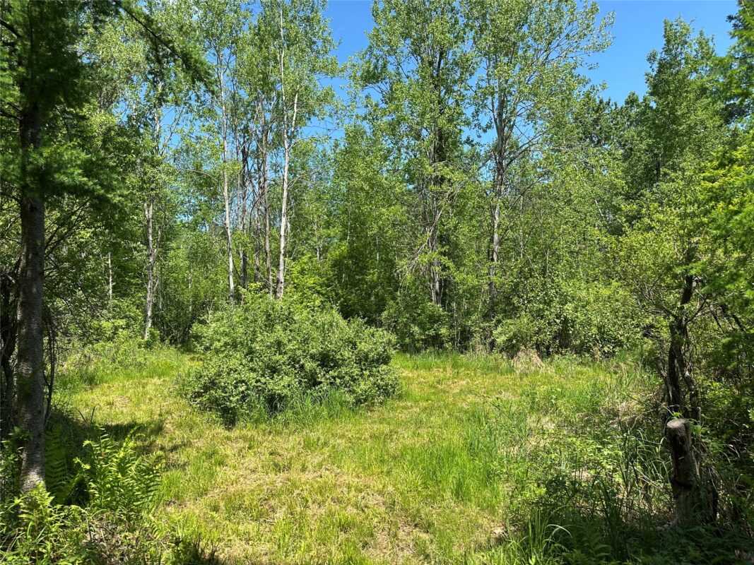 N7642 Crooked Road, Ladysmith WI 54848 - Residential house for sale - MLS #1601657 - image31