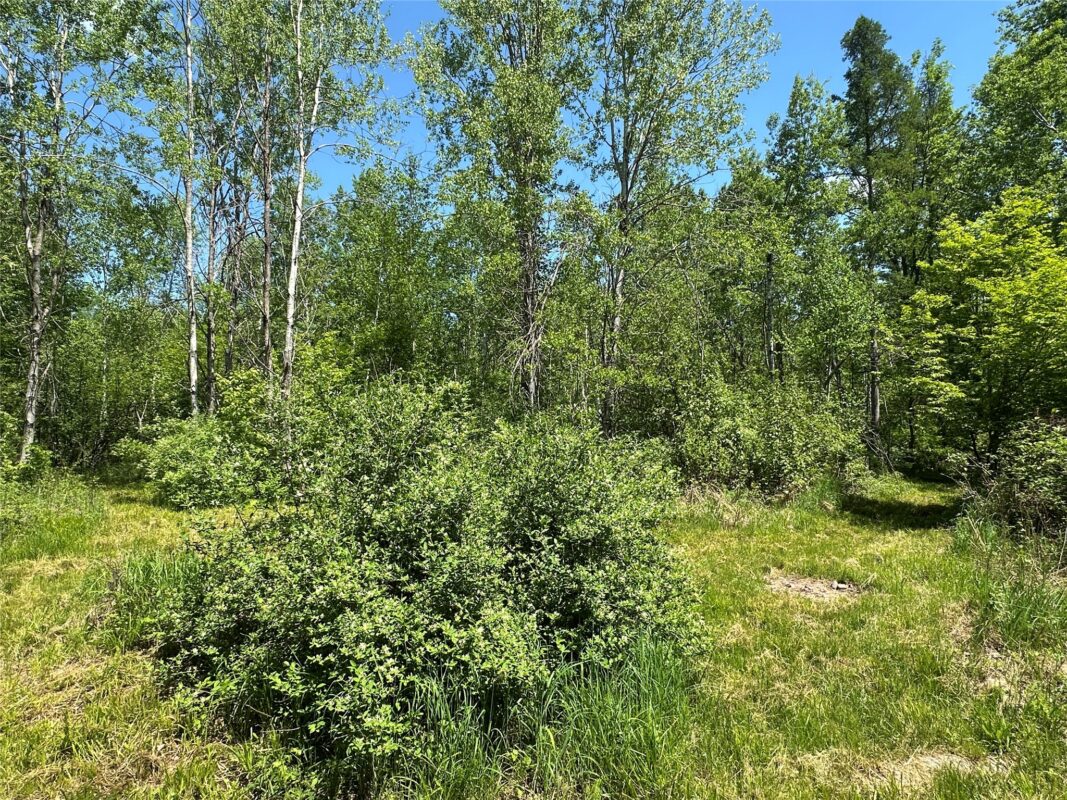 N7642 Crooked Road, Ladysmith WI 54848 - Residential house for sale - MLS #1601657 - image32
