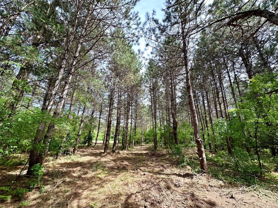 N9671 630th Street, Colfax WI 54730 - Land house for sale - MLS #1601840 - image12