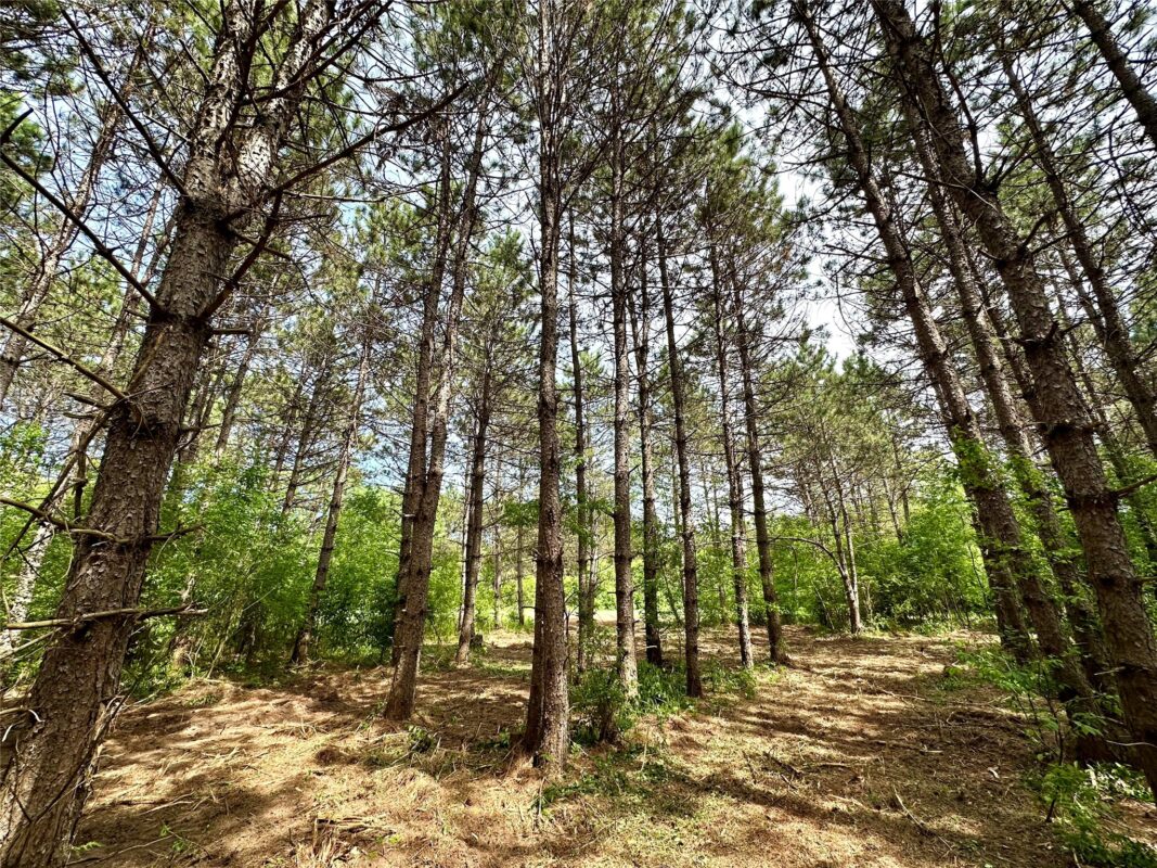 N9671 630th Street, Colfax WI 54730 - Land house for sale - MLS #1601840 - image16