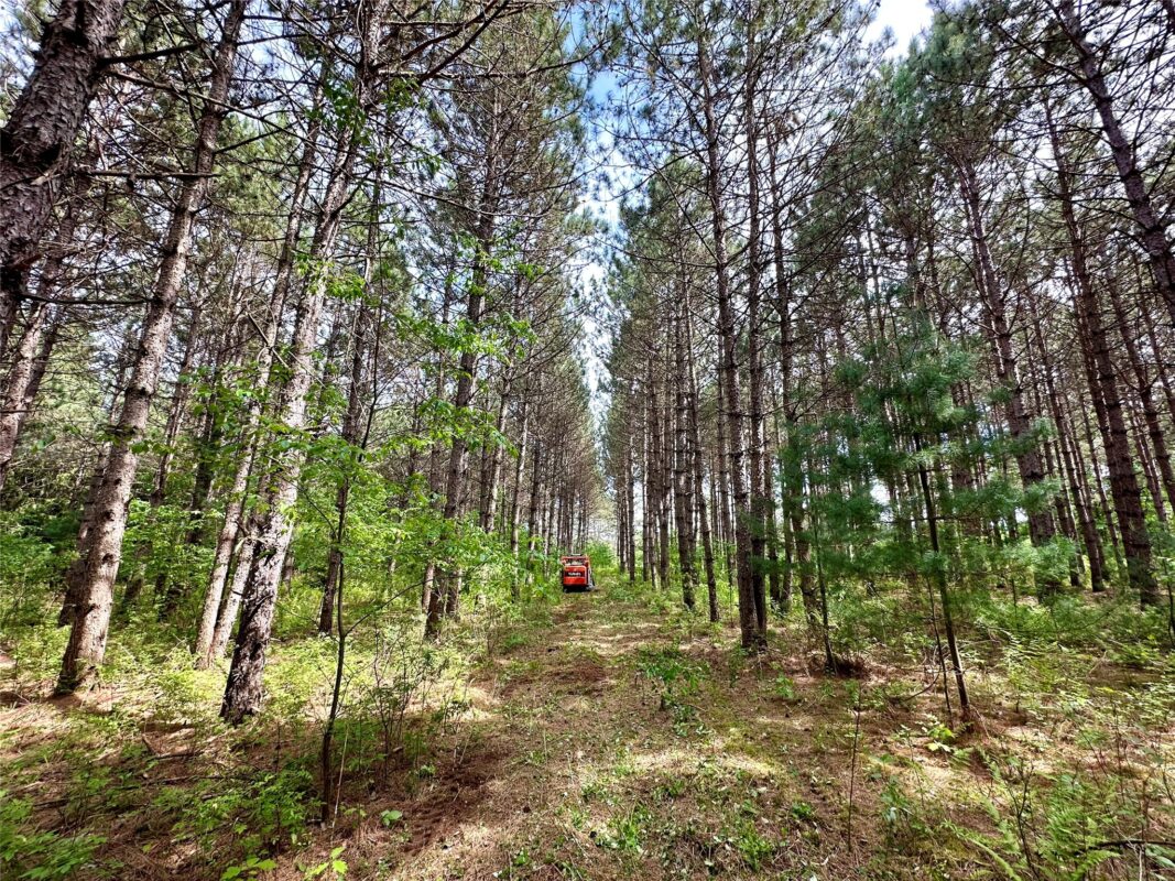N9671 630th Street, Colfax WI 54730 - Land house for sale - MLS #1601840 - image17