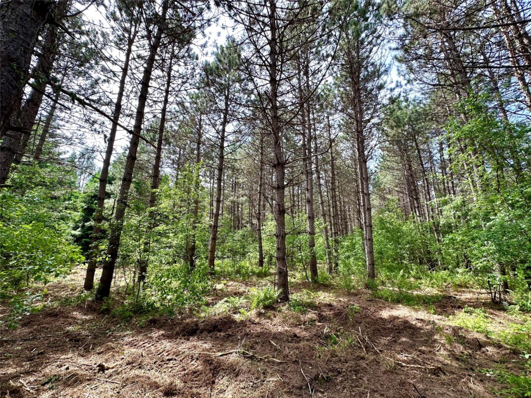 N9671 630th Street, Colfax WI 54730 - Land house for sale - MLS #1601840 - image21