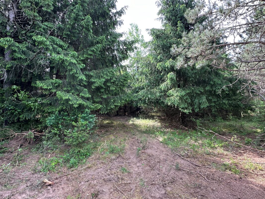 N9671 630th Street, Colfax WI 54730 - Land house for sale - MLS #1601840 - image23