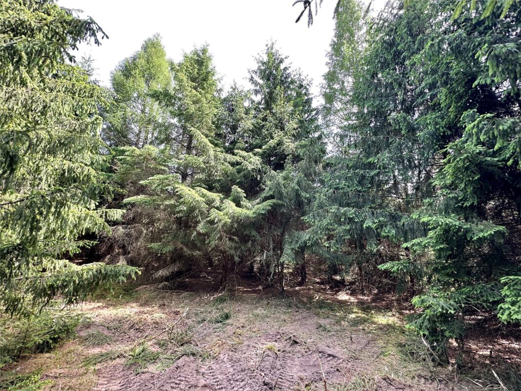 N9671 630th Street, Colfax WI 54730 - Land house for sale - MLS #1601840 - image24