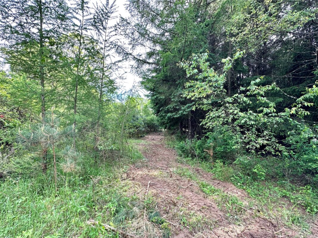 N9671 630th Street, Colfax WI 54730 - Land house for sale - MLS #1601840 - image25