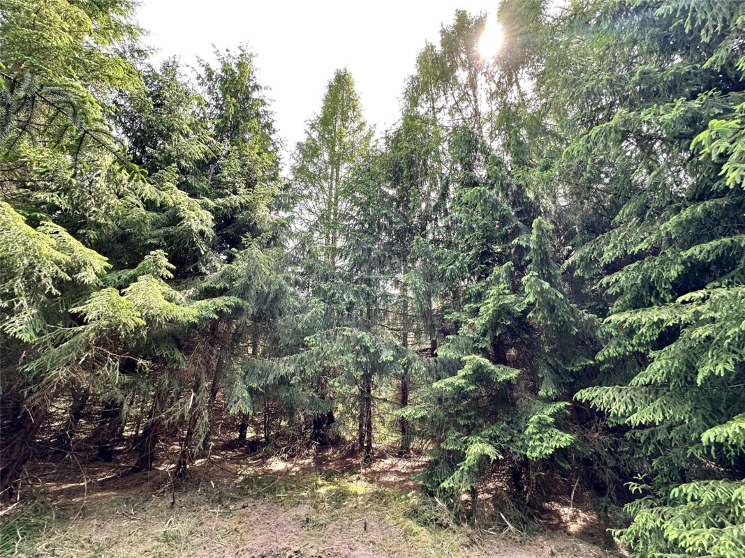 N9671 630th Street, Colfax WI 54730 - Land house for sale - MLS #1601840 - image27