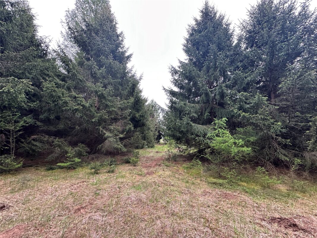 N9671 630th Street, Colfax WI 54730 - Land house for sale - MLS #1601840 - image29