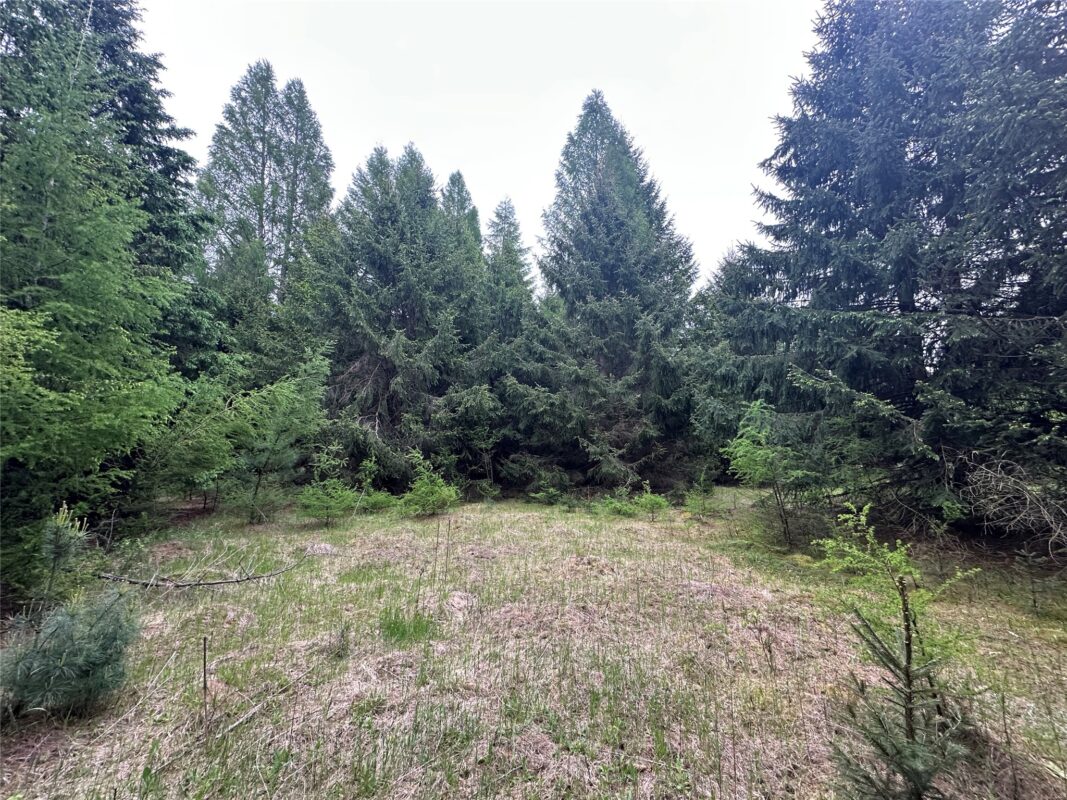 N9671 630th Street, Colfax WI 54730 - Land house for sale - MLS #1601840 - image30