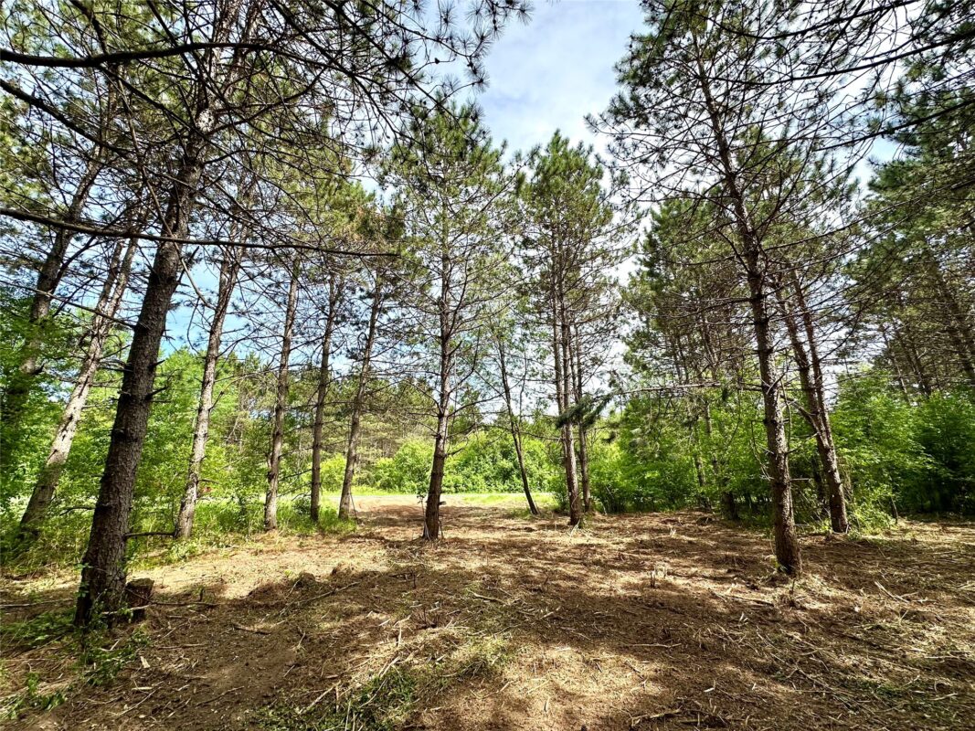 N9671 630th Street, Colfax WI 54730 - Land house for sale - MLS #1601840 - image4