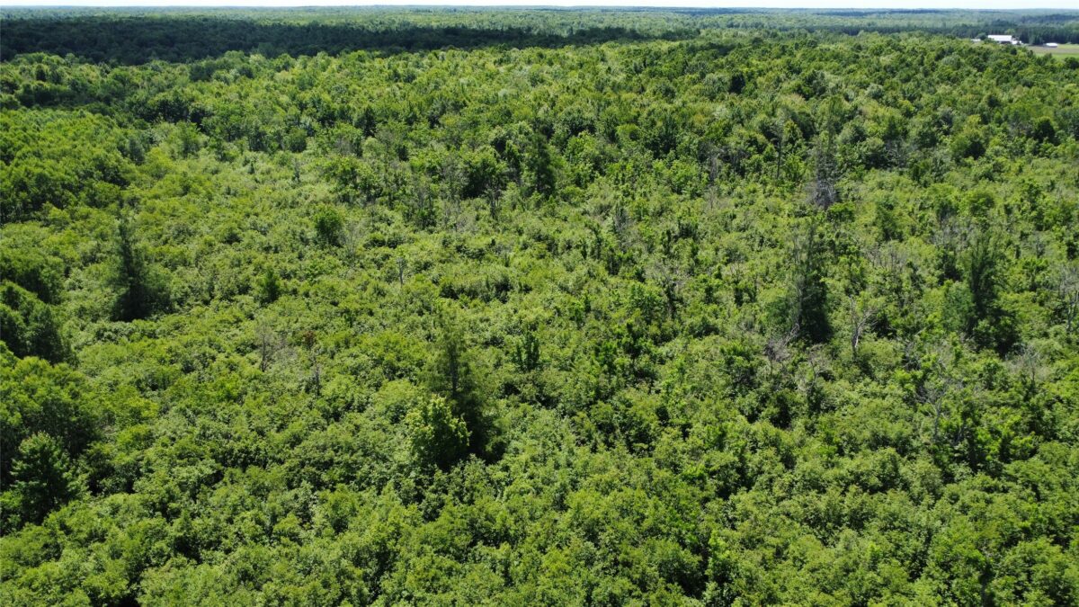 OOO SNOWSHOE RD., Wausau WI 54403 - Land house for sale - MLS #1602503 - image17