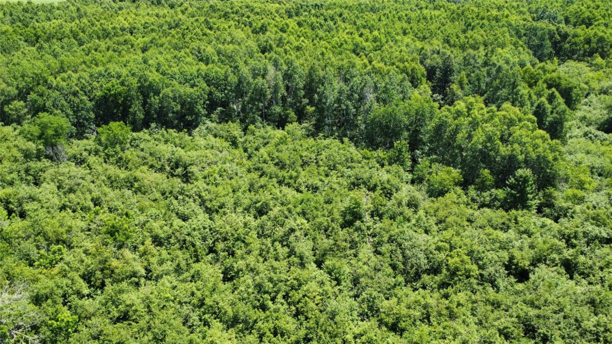 OOO SNOWSHOE RD., Wausau WI 54403 - Land house for sale - MLS #1602503 - image18