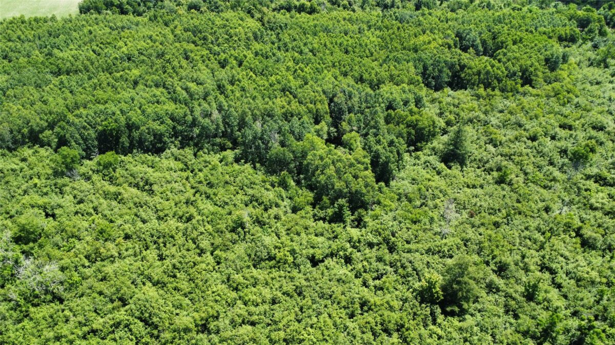 OOO SNOWSHOE RD., Wausau WI 54403 - Land house for sale - MLS #1602503 - image19