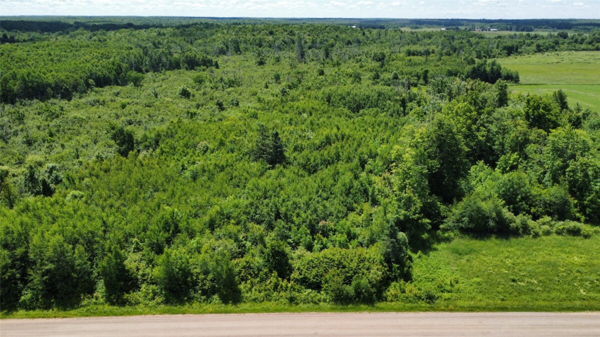 OOO SNOWSHOE RD., Wausau WI 54403 - Land house for sale - MLS #1602503 - image20