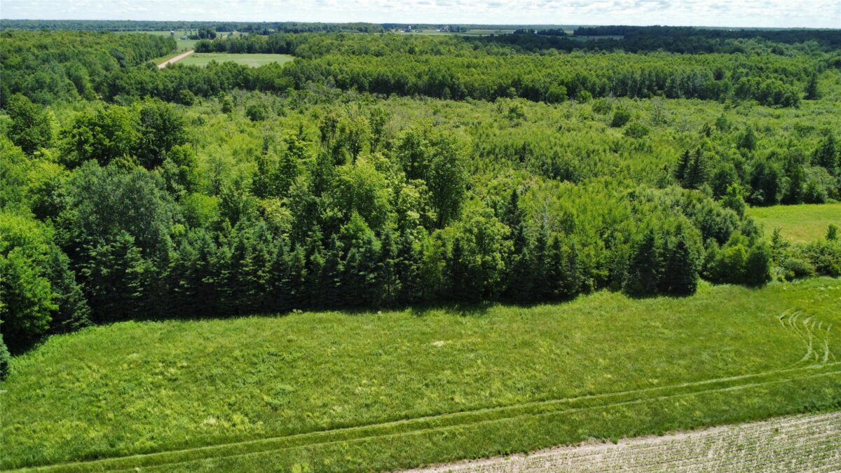 OOO SNOWSHOE RD., Wausau WI 54403 - Land house for sale - MLS #1602503 - image3