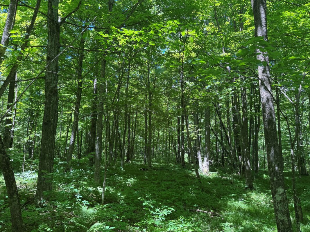 OOO SNOWSHOE RD., Wausau WI 54403 - Land house for sale - MLS #1602503 - image28