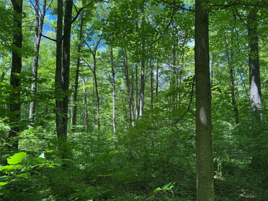 OOO SNOWSHOE RD., Wausau WI 54403 - Land house for sale - MLS #1602503 - image29