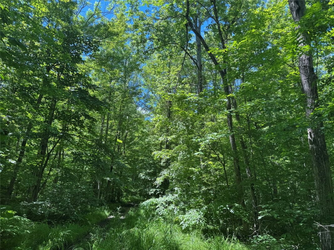OOO SNOWSHOE RD., Wausau WI 54403 - Land house for sale - MLS #1602503 - image30