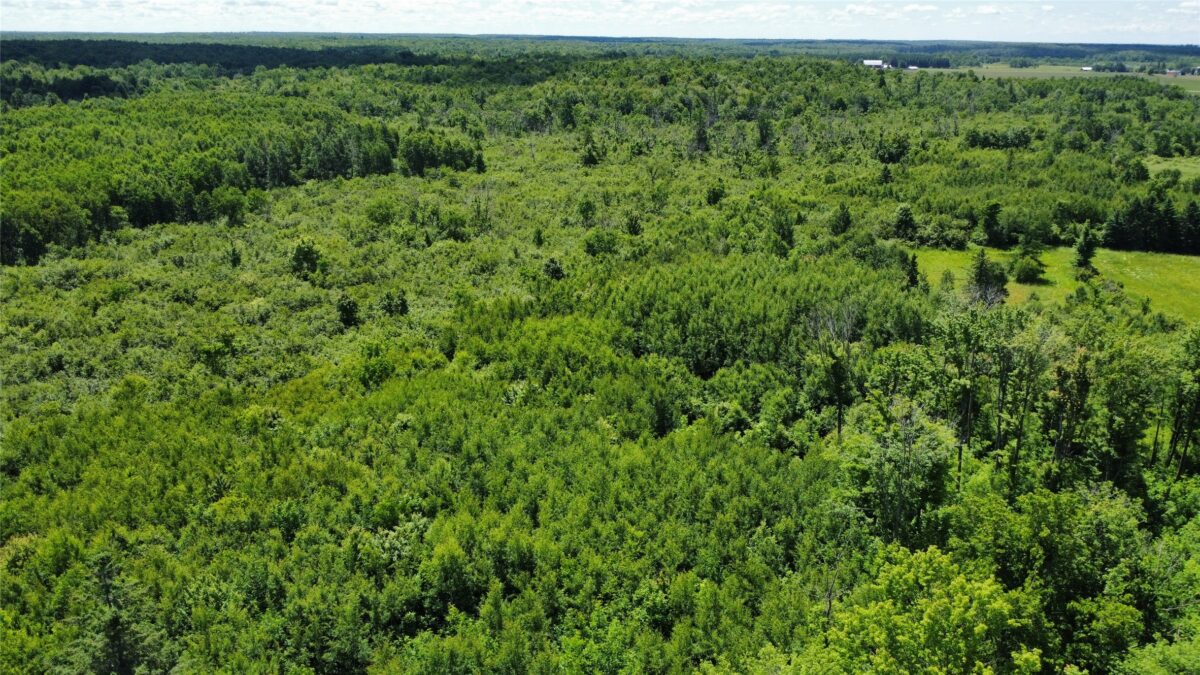 OOO SNOWSHOE RD., Wausau WI 54403 - Land house for sale - MLS #1602503 - image4