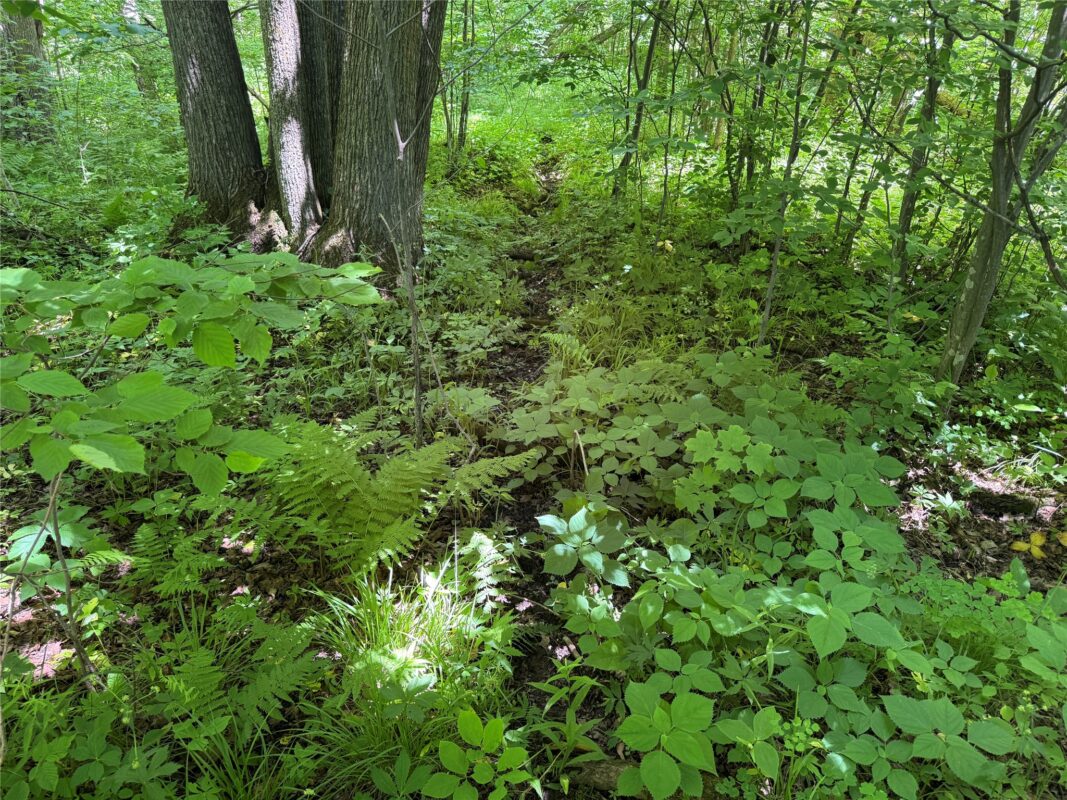 OOO SNOWSHOE RD., Wausau WI 54403 - Land house for sale - MLS #1602503 - image38