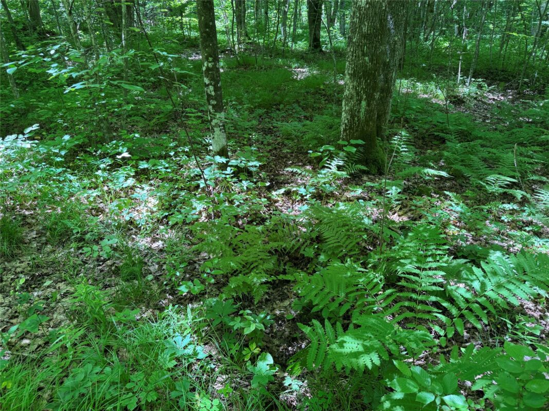 OOO SNOWSHOE RD., Wausau WI 54403 - Land house for sale - MLS #1602503 - image39
