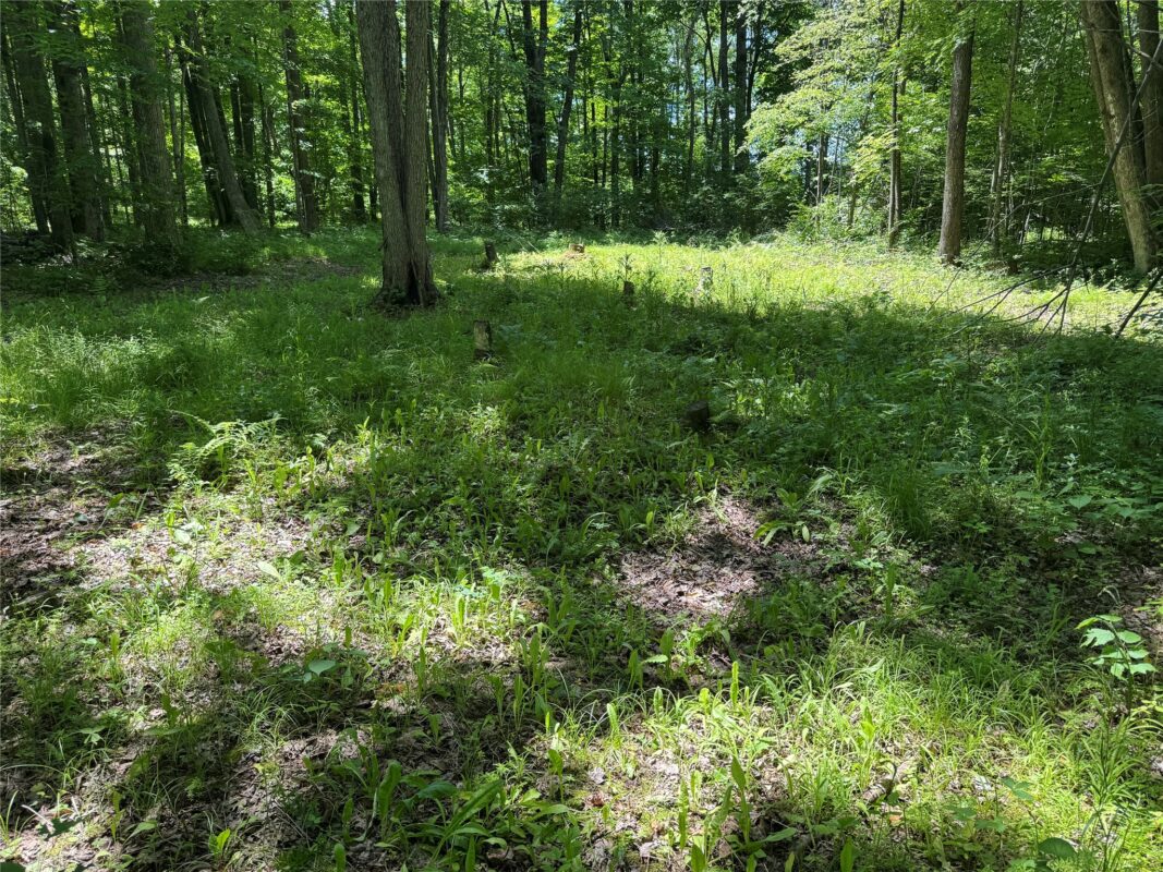 OOO SNOWSHOE RD., Wausau WI 54403 - Land house for sale - MLS #1602503 - image40