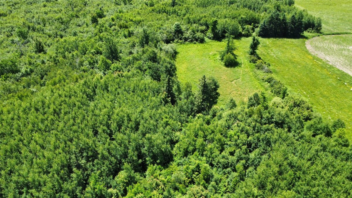 OOO SNOWSHOE RD., Wausau WI 54403 - Land house for sale - MLS #1602503 - image5