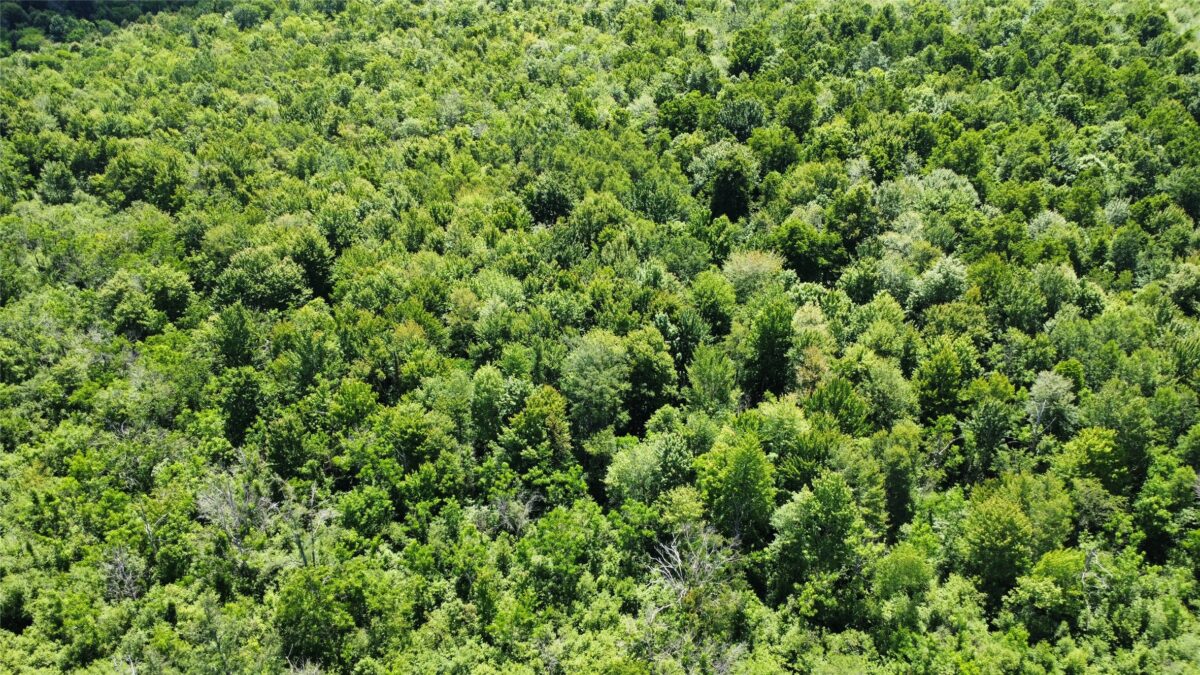 OOO SNOWSHOE RD., Wausau WI 54403 - Land house for sale - MLS #1602503 - image44