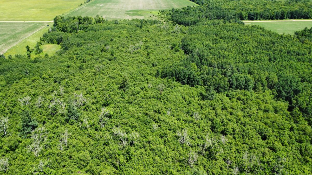 OOO SNOWSHOE RD., Wausau WI 54403 - Land house for sale - MLS #1602503 - image45