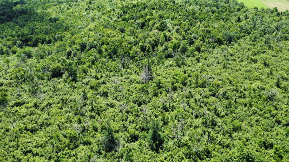 OOO SNOWSHOE RD., Wausau WI 54403 - Land house for sale - MLS #1602503 - image46
