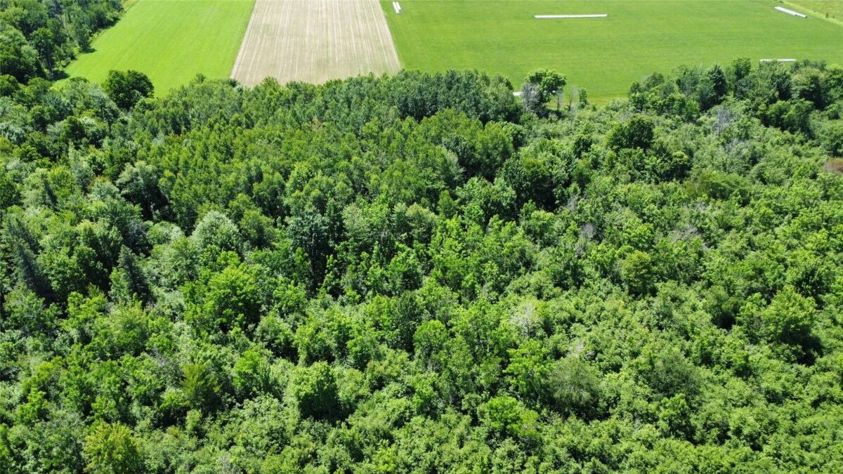 OOO SNOWSHOE RD., Wausau WI 54403 - Land house for sale - MLS #1602503 - image47