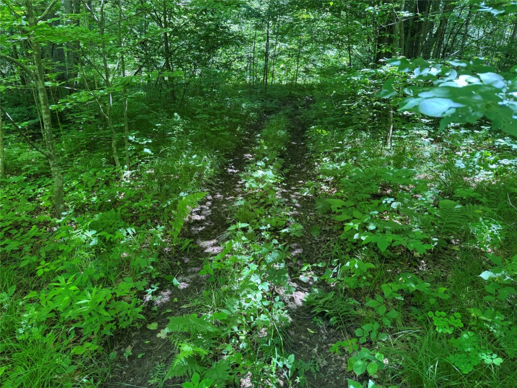 OOO SNOWSHOE RD., Wausau WI 54403 - Land house for sale - MLS #1602503 - image48