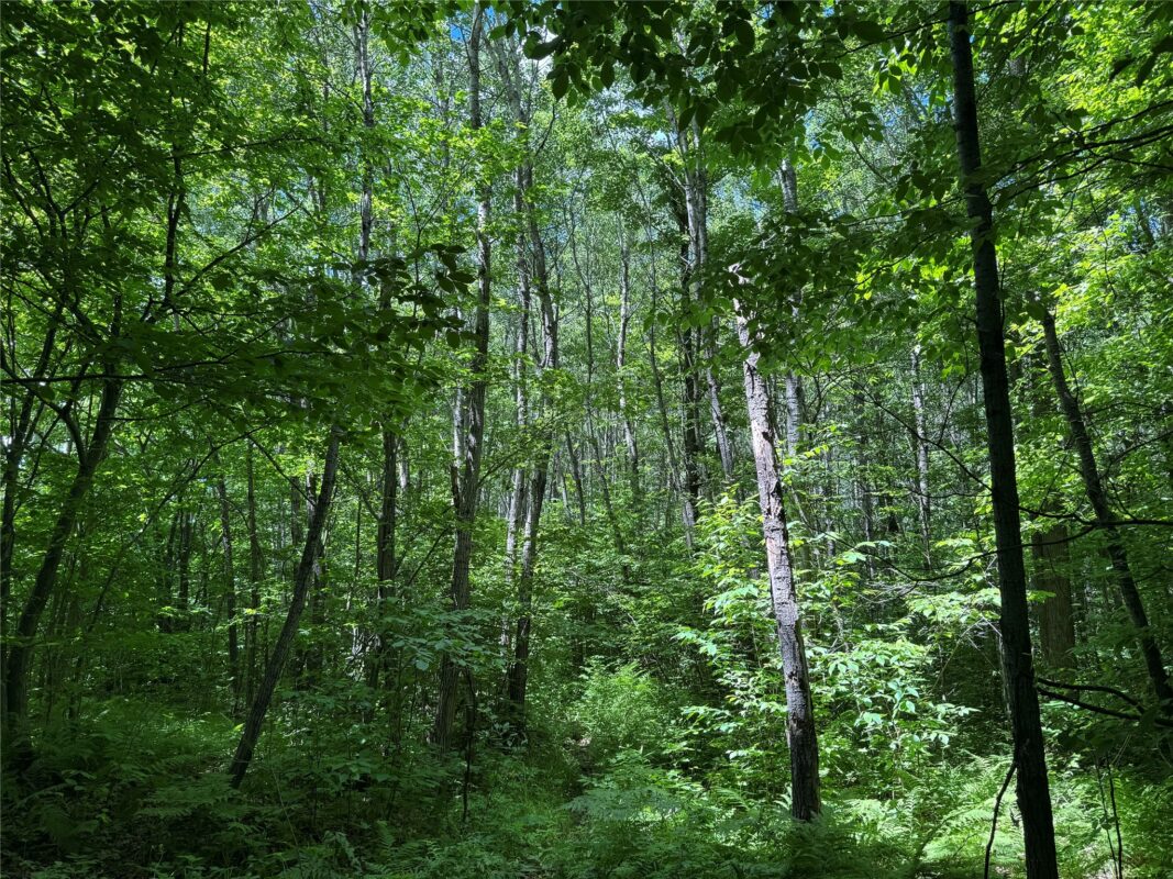 OOO SNOWSHOE RD., Wausau WI 54403 - Land house for sale - MLS #1602503 - image7