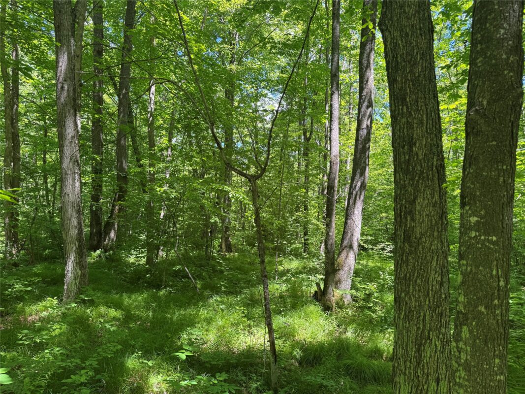 OOO SNOWSHOE RD., Wausau WI 54403 - Land house for sale - MLS #1602503 - image8