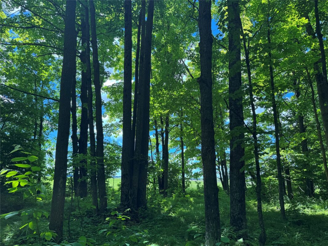 OOO SNOWSHOE RD., Wausau WI 54403 - Land house for sale - MLS #1602503 - image10