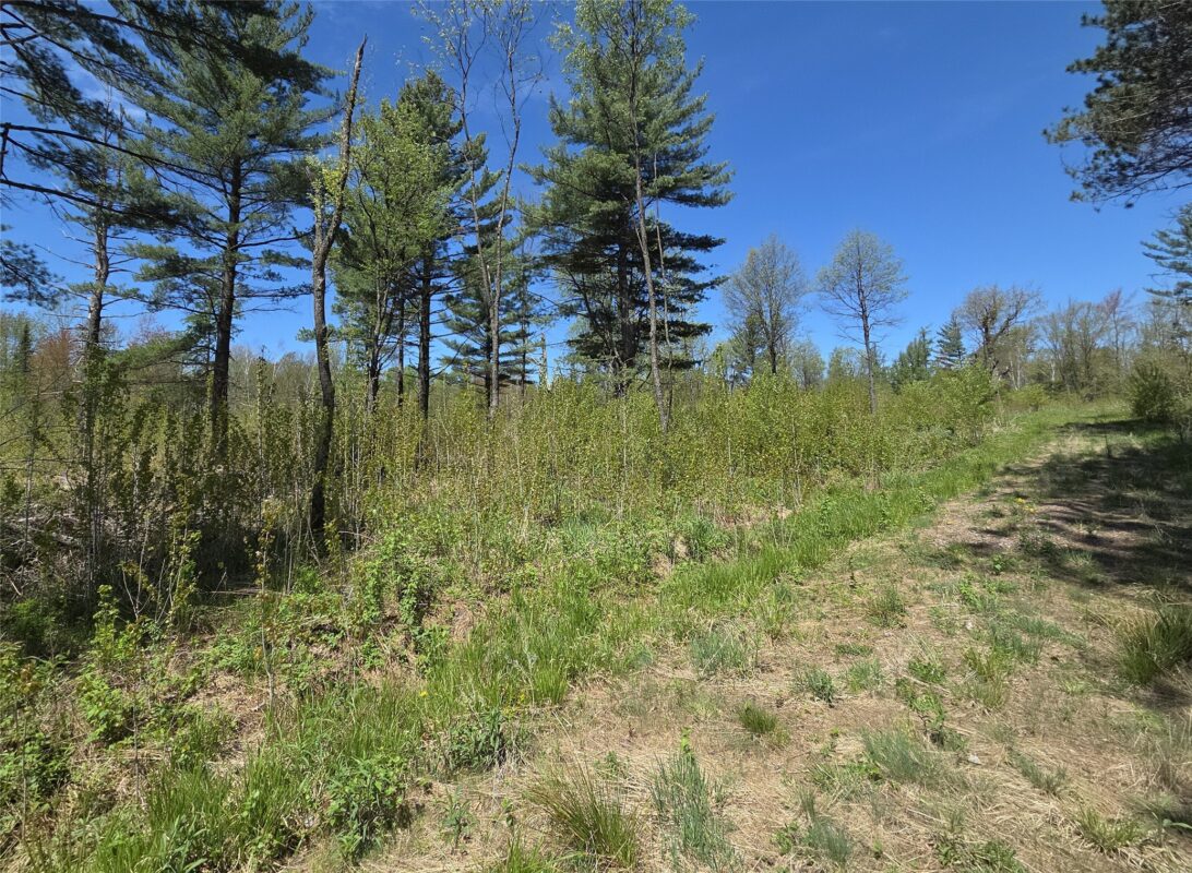 On Central Avenue, Brantwood WI 54513 - Land house for sale - MLS #1601548 - image3