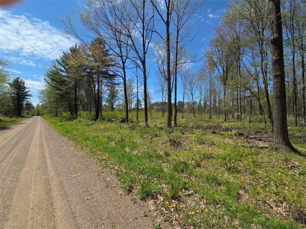 On Central Avenue, Brantwood WI 54513 - Land house for sale - MLS #1601544 - image3
