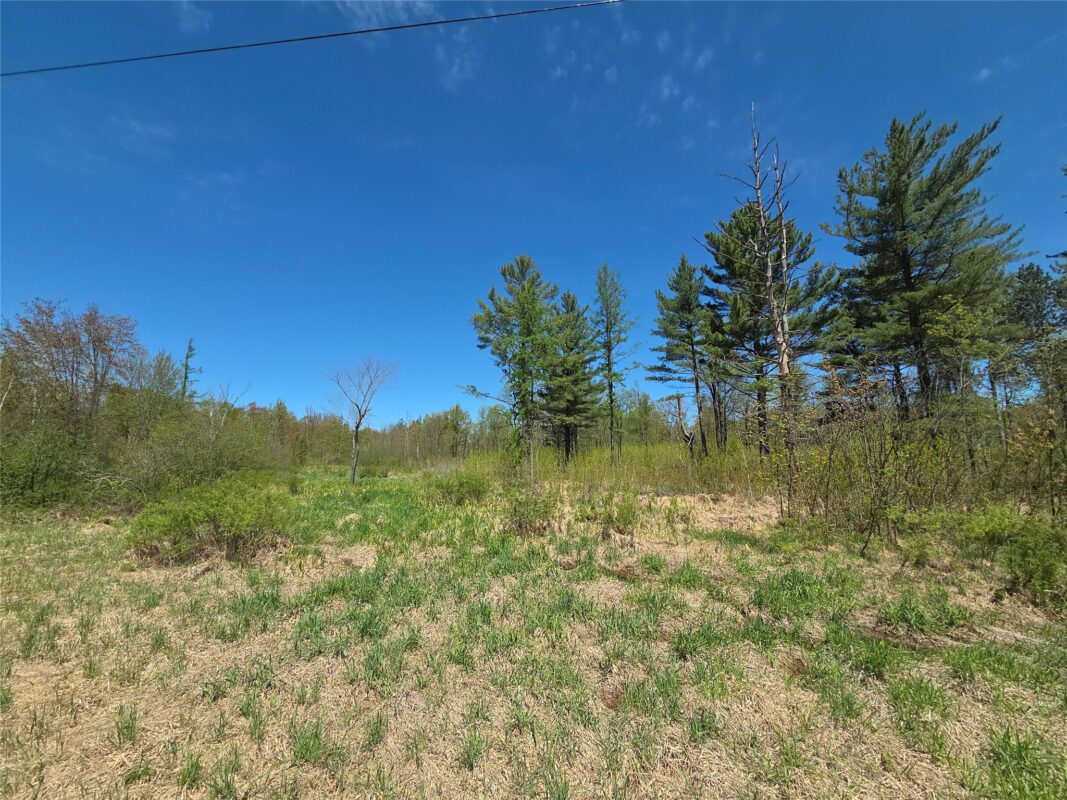 On Central Avenue, Brantwood WI 54513 - Land house for sale - MLS #1601548 - image4