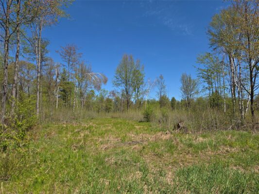 On E Central Avenue Brantwood WI 54513
