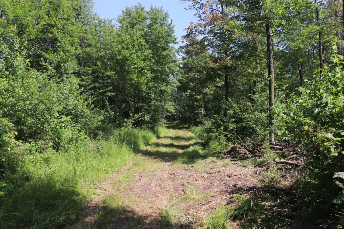 S11305 Kempton Road, Augusta WI 54722 - Land house for sale - MLS #1602723 - image11