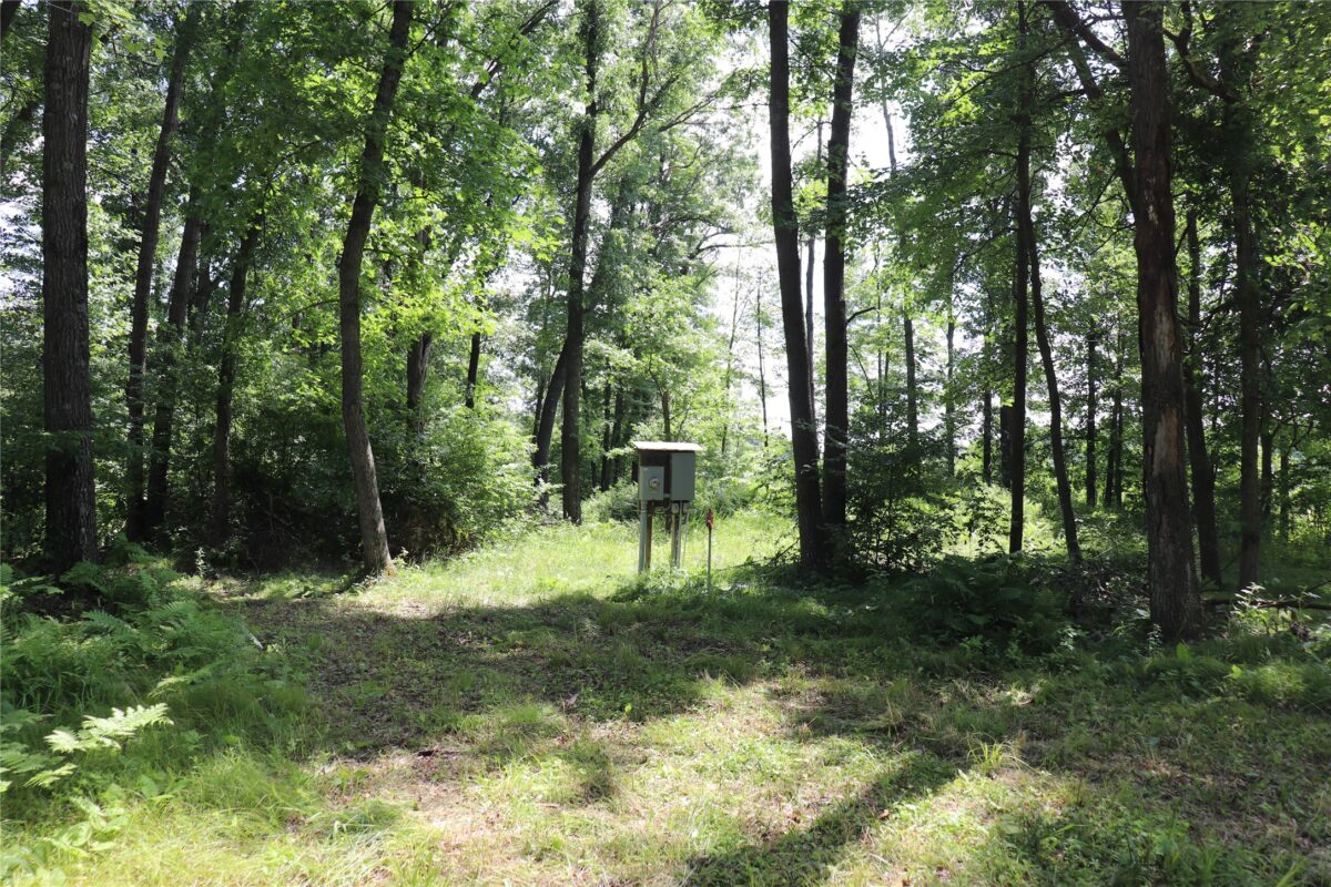 S11305 Kempton Road, Augusta WI 54722 - Land house for sale - MLS #1602723 - image14