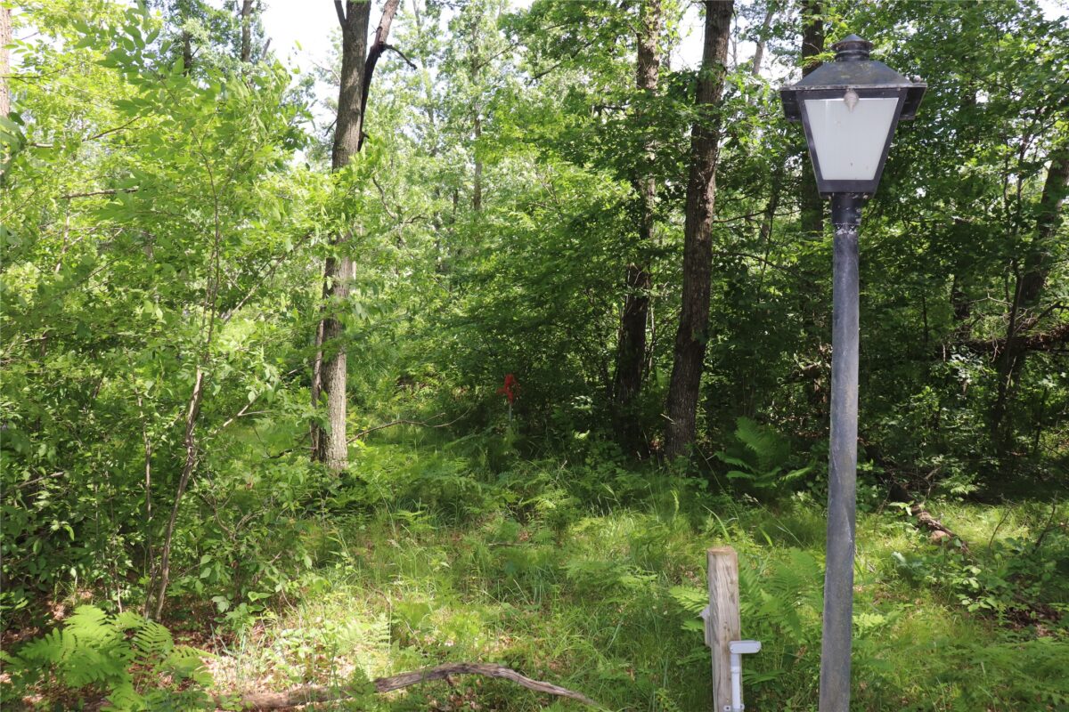 S11305 Kempton Road, Augusta WI 54722 - Land house for sale - MLS #1602723 - image19
