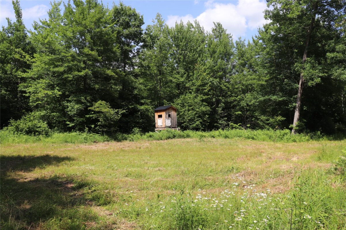S11305 Kempton Road, Augusta WI 54722 - Land house for sale - MLS #1602723 - image3