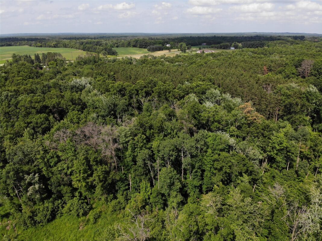 S11305 Kempton Road, Augusta WI 54722 - Land house for sale - MLS #1602723 - image21