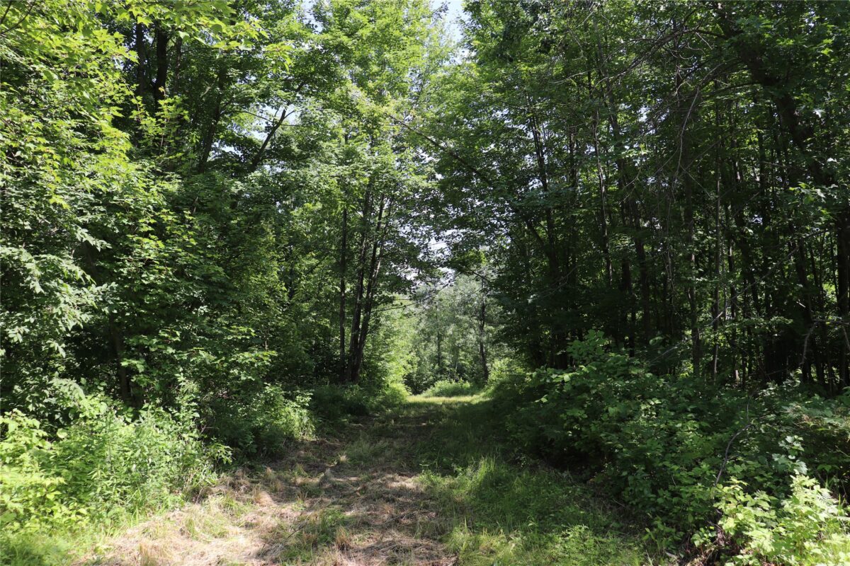 S11305 Kempton Road, Augusta WI 54722 - Land house for sale - MLS #1602723 - image23