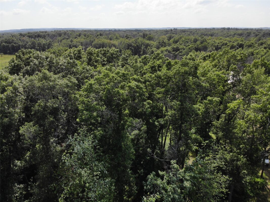 S11305 Kempton Road, Augusta WI 54722 - Land house for sale - MLS #1602723 - image24